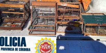 Detienen a tres personas en El Arañado