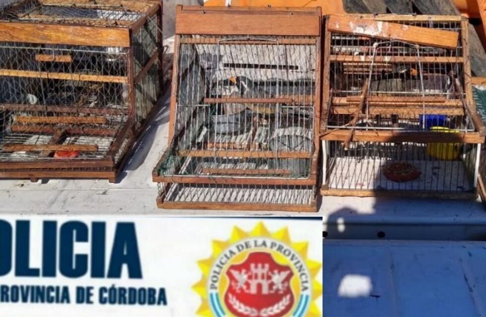 El Arañado: fueron detenidas tres personas por cazar pájaros silvestres