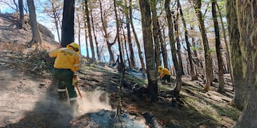 La Armada combate los incendios en El Bolsón