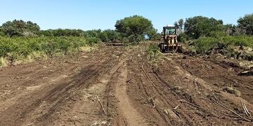 Las autoridades detectaron un desmonte ilegal de bosques nativos en un lugar en donde se pretendía desarrollar un emprendimiento urbanistico en la localidad de Cortaderas. Gentileza ANSL