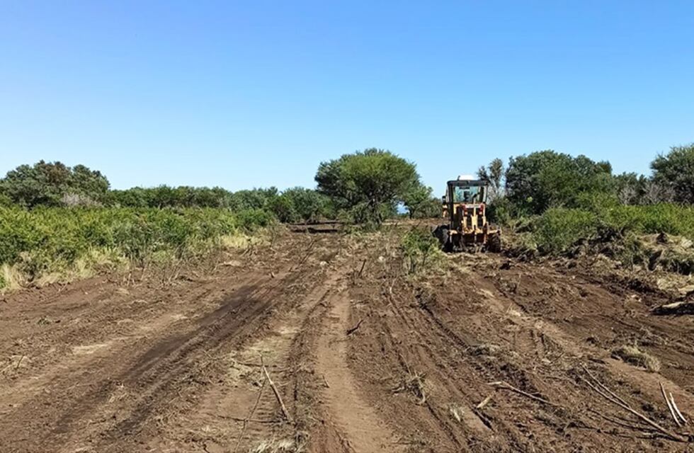 Frenan un desmonte ilegal y clausuran un establecimiento en Cortaderas