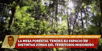 Misiones: la Mesa Forestal recorrerá la provincia promoviendo el cuidado del medio ambiente.