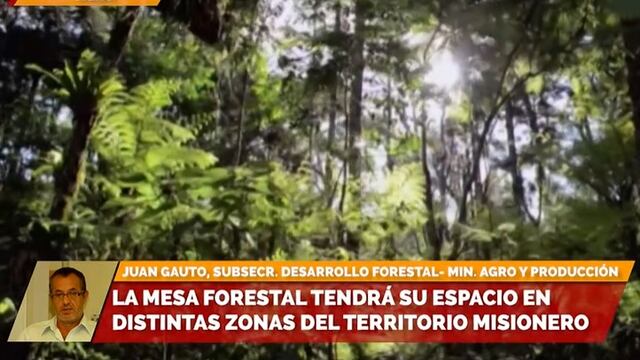 Misiones: la Mesa Forestal recorrerá la provincia promoviendo el cuidado del medio ambiente.