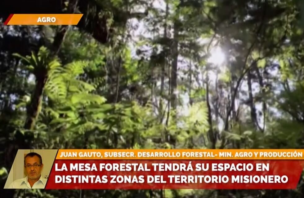 Misiones: la Mesa Forestal recorrerá la provincia promoviendo el cuidado del medio ambiente