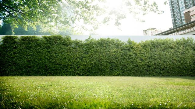 La agente inmobiliaria se dio con el estremecedor hallazgo dentro de una casa en Córdoba.