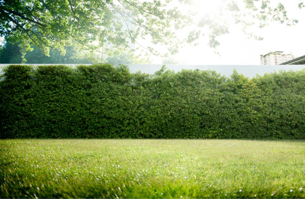 Conmoción en Córdoba: mostrando una casa en alquiler, encontró un cadáver en el patio