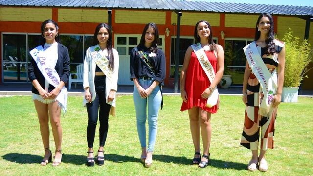 Las cinco candidatas que participarán de la eleccción de la Reina de la Vendimia de Santa Rosa este sábado. Gentileza MSR