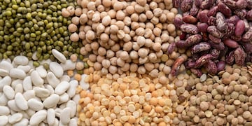 Cuál es la legumbre considerada como un superalimento que previene al 50% las enfermedades cardiovasculares.