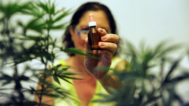 Ley cannabis medicinal.