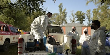 Ahora, son 13 los casos confirmados de gripe aviar en Córdoba.