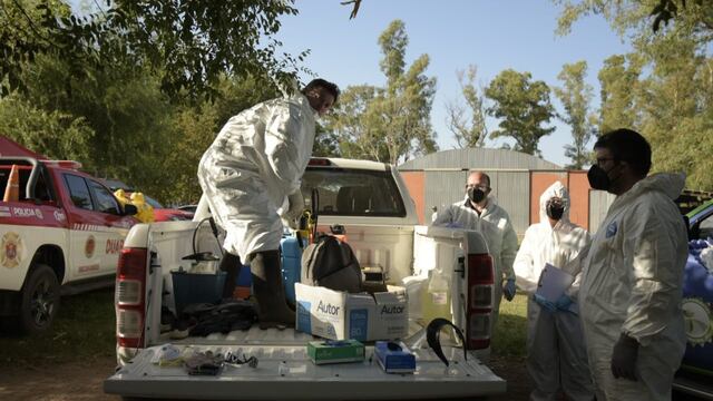 Ahora, son 13 los casos confirmados de gripe aviar en Córdoba.