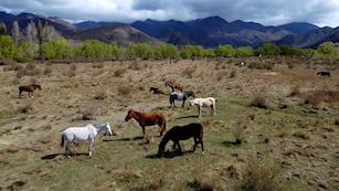 Nevó en pleno noviembre en Manzano Histórico, Mendoza.