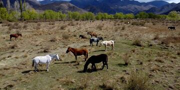 Nevó en pleno noviembre en Manzano Histórico, Mendoza.