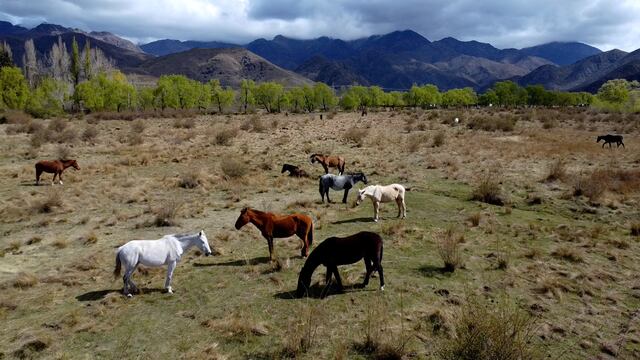 Nevó en pleno noviembre en Manzano Histórico, Mendoza.