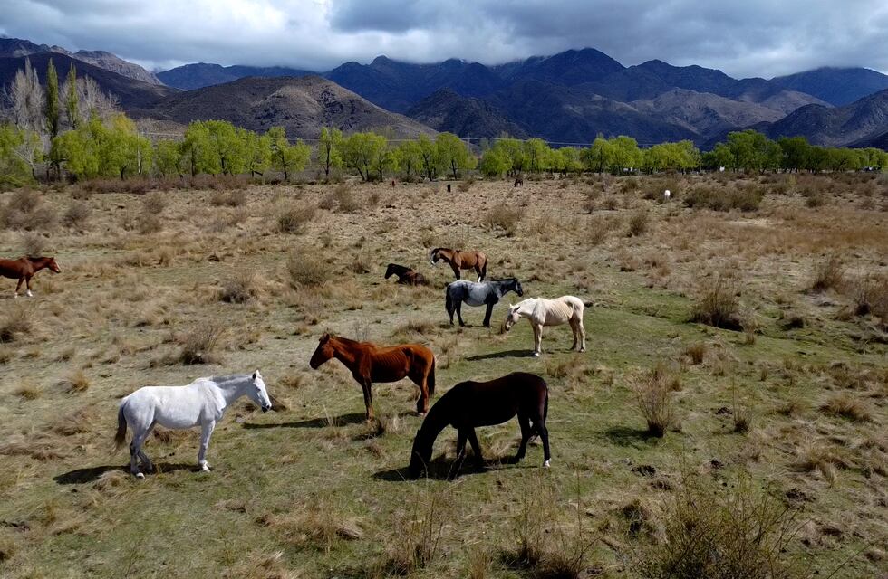 ¿Nieve en noviembre?: las impactantes imágenes de una localidad mendocina cubierta de blanco