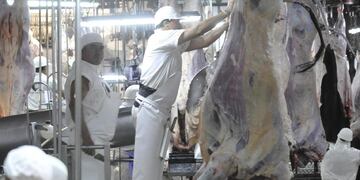 Carne de Exportación