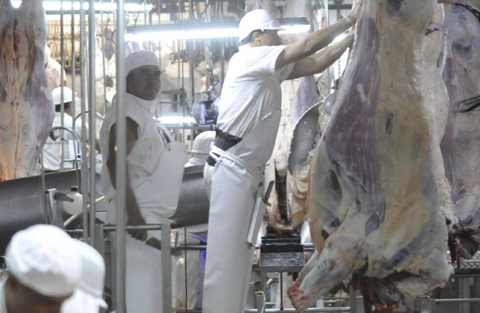 Una vez más, errado el camino de la carne