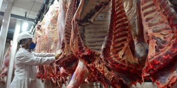 Frigorífico Logros, en Rio Segundo.  Operarios faenan, despostan y cortan medias reses. media res, faena cámara frigorífica carne de exportación
22 abril 2021 foto Nicolas Bravo