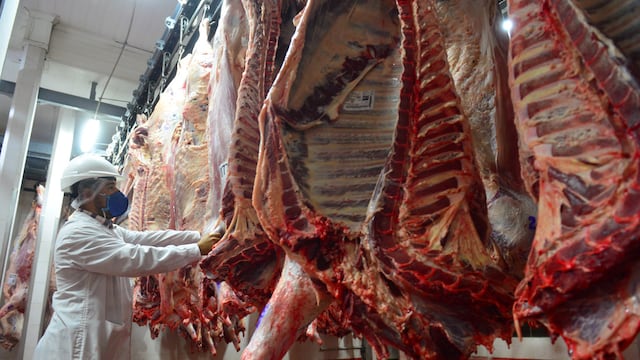 Frigorífico Logros, en Rio Segundo.  Operarios faenan, despostan y cortan medias reses. media res, faena cámara frigorífica carne de exportación
22 abril 2021 foto Nicolas Bravo