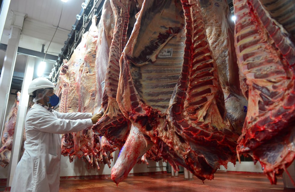 El consumo global de carnes y sus producciones