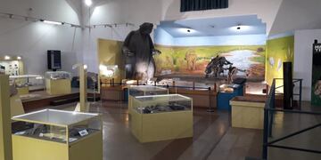 Museo Municipal de Ciencias Naturales Darwin de Coronel Rosales