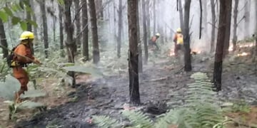 En esta ocasión, las llamas afectaron solo las partes bajas de pastizales y habrían sido iniciados de manera intencional