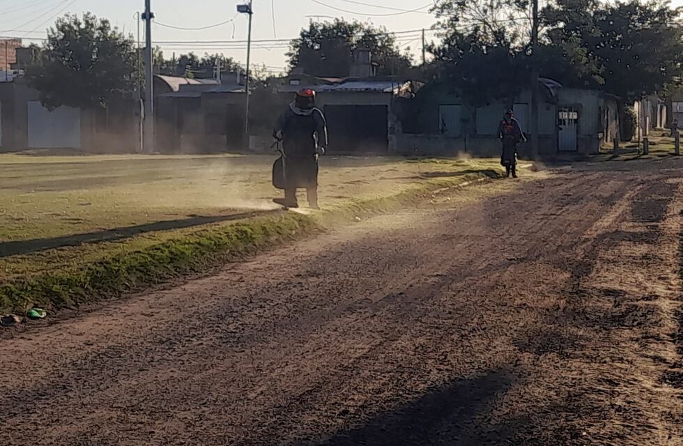 El desmalezado contribuye al equilibrio ambiental y al cuidado de la población