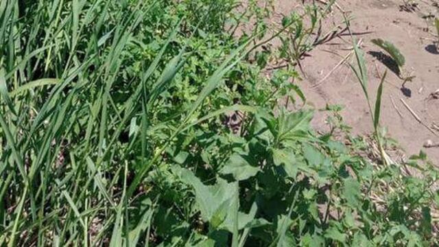 Geraldine Bejarano fue hallada sin vida en Santa Elena.