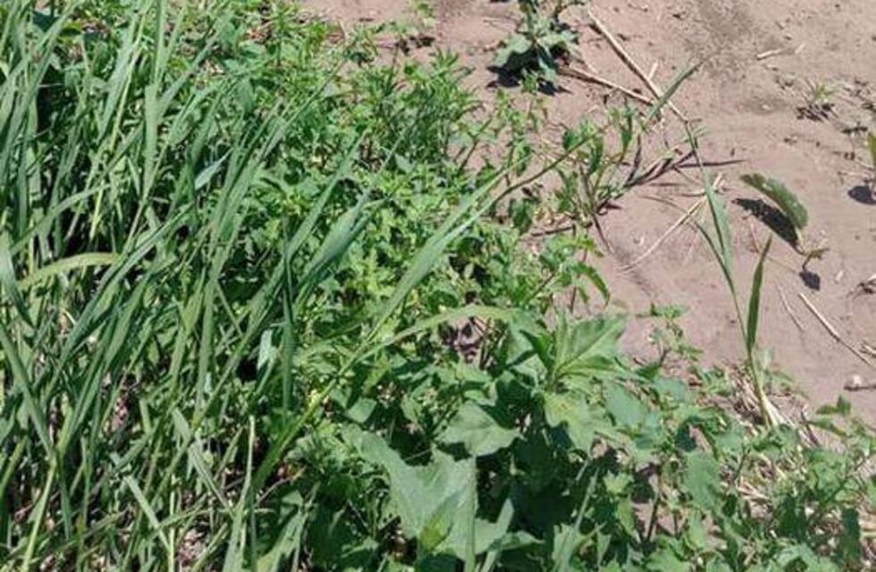 Hallaron el cuerpo sin vida de la nena que era buscada en Santa Elena