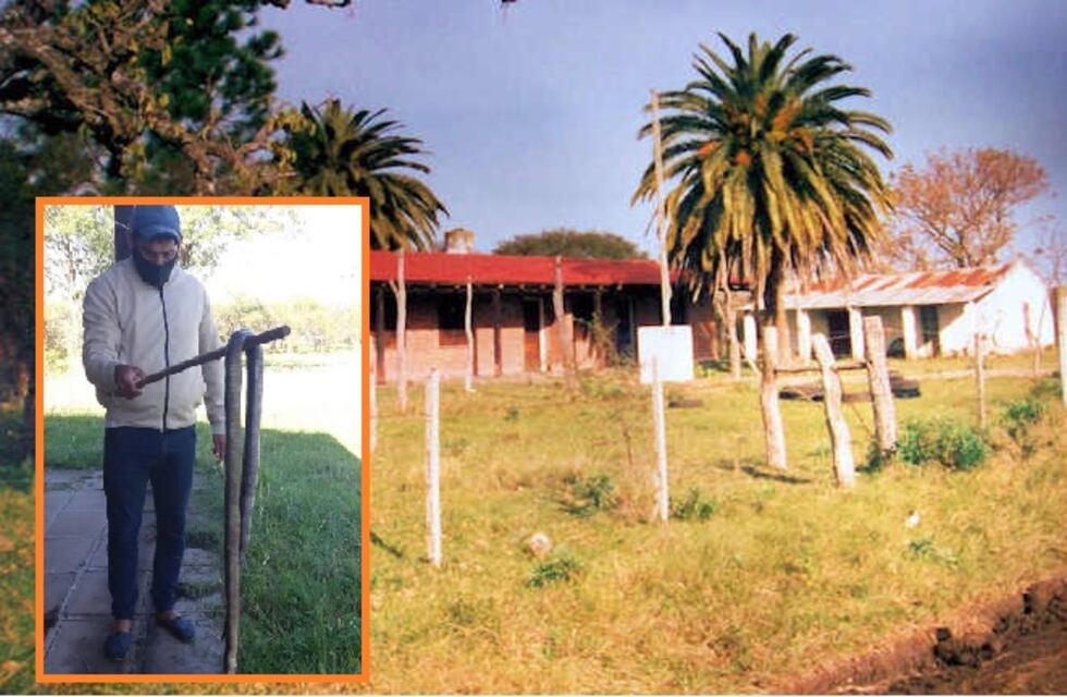 Una víbora de gran tamaño apareció en el baño de una escuela entrerriana