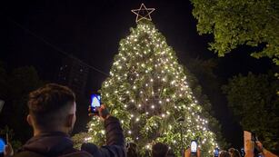 Encendido del Árbol de Navidad