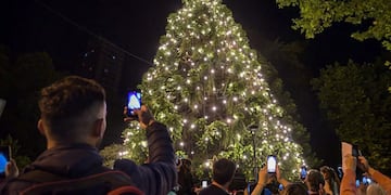 Encendido del Árbol de Navidad