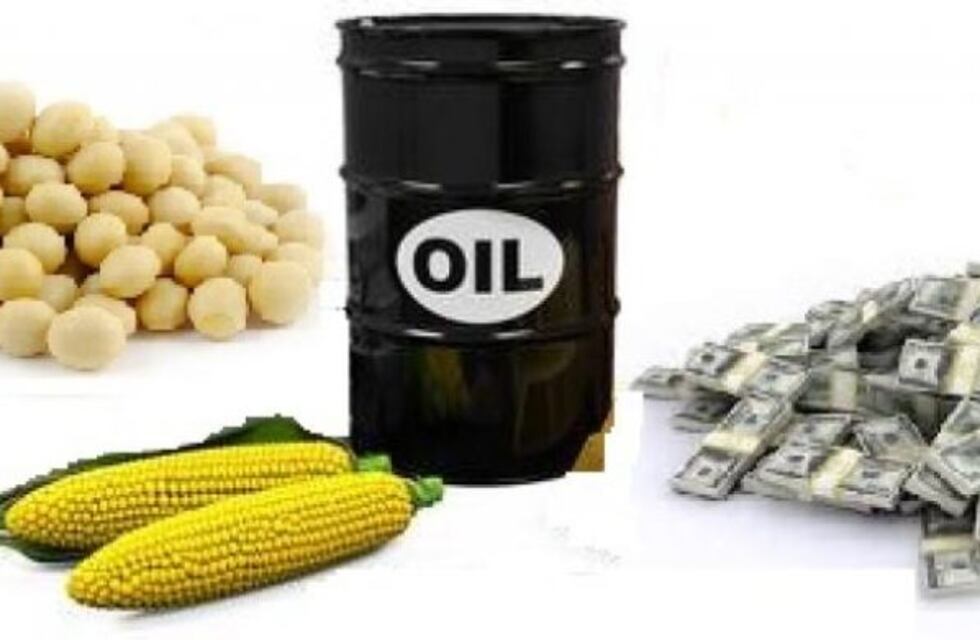 Granos y petróleo ¿cómo juega esta relación?