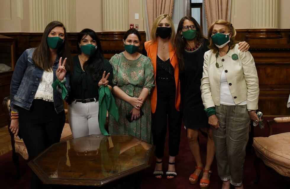 Oficialistas de Santa Fe votaron a favor del aborto legal en el Senado
