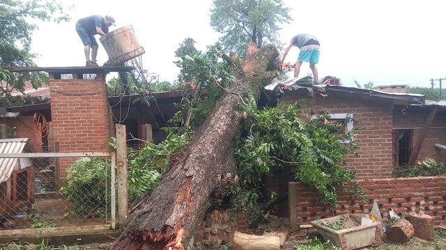 Fuerte temporal causó corte de luz, caída de arboles y voladuras de techos en Montecarlo.