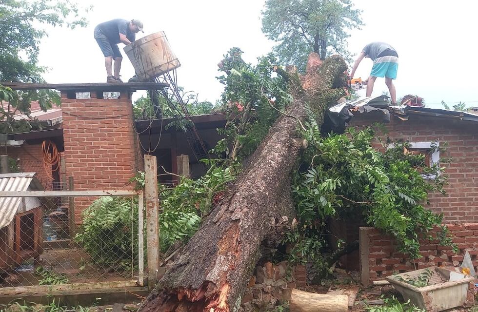 Fuerte temporal causó corte de luz, caída de arboles y voladuras de techos en Montecarlo