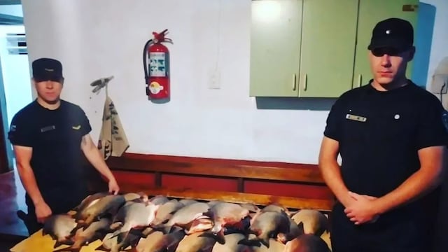 Un detenido tras el robo de pescados de un campo en San José.