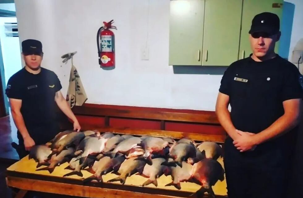 Un detenido tras el robo de pescados de un campo en San José