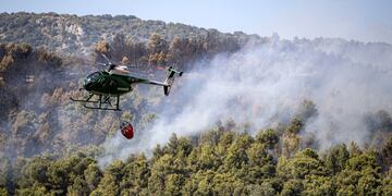 Incendios en Italia: el fuego no da tregua y 11.000 hectáreas arden