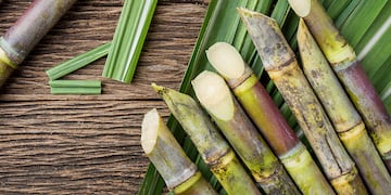 Serían en el CART y CAA