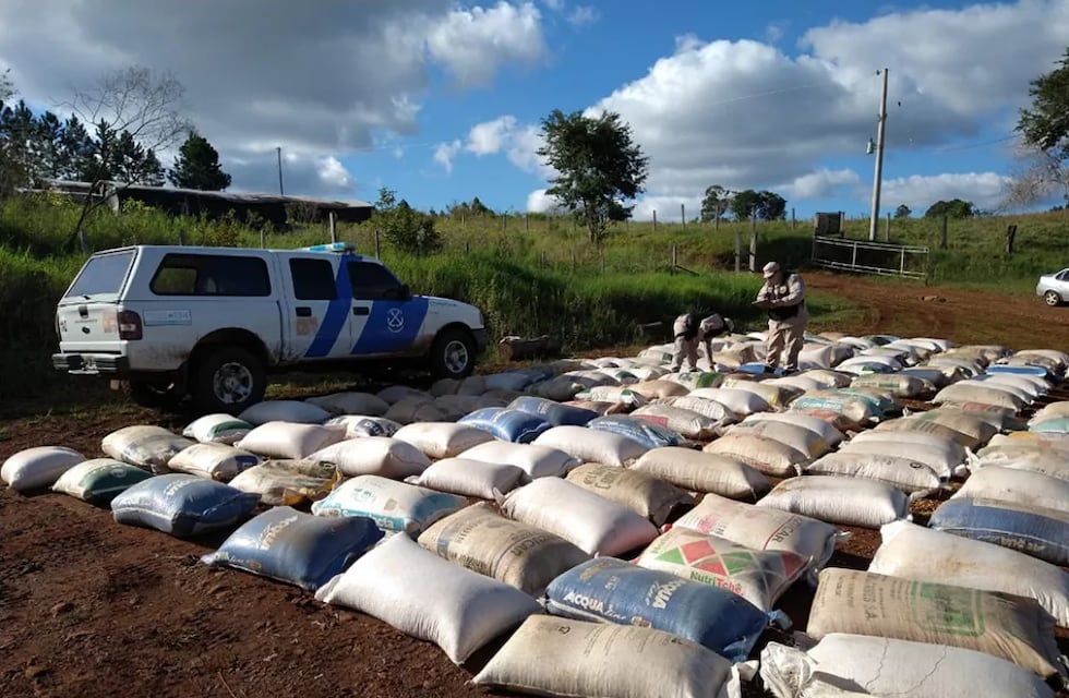 Más de 8 toneladas de granos ilegales secuestrados en El Soberbio