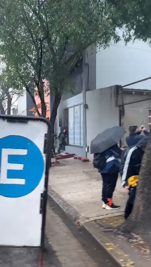 Así quedó Neura tras el incendio.
