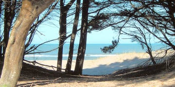 Aterrador ritual en Mar de las Pampas: una mujer se amputó un dedo y lo arrojó al mar como ofrenda Umbanda.