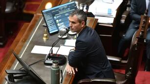 Martín Menem, presidente de la Cámara de Diputados (Archivo)