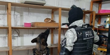 El perro Anuk delató dónde escondían la droga en Alta Gracia.