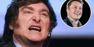 Milei le respondió a Musk: “Necesitamos hablar, Elon”. Foto: Los Andes