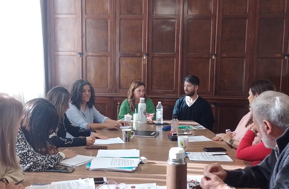 El Concejo Deliberante Estudiantil en el eje de la reunión de la Comisión de Derechos de la Familia