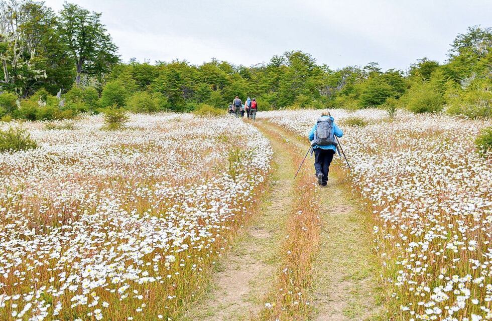 A la espera del lanzamiento del Previaje 4, cómo anotarse en el programa que impulsa el turismo en el país