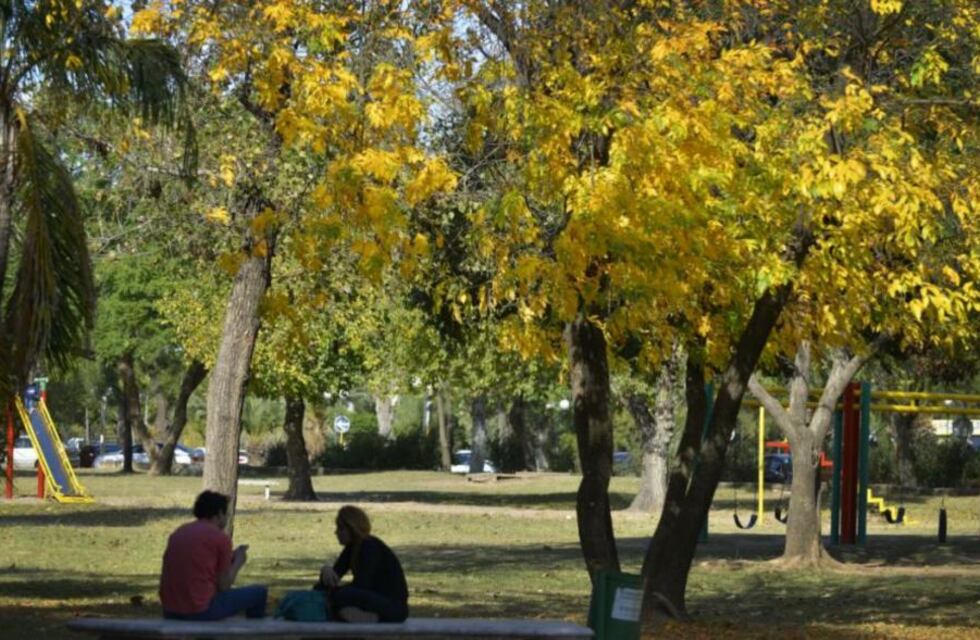 Clima en Córdoba: tiempo bueno para este viernes 12 de noviembre