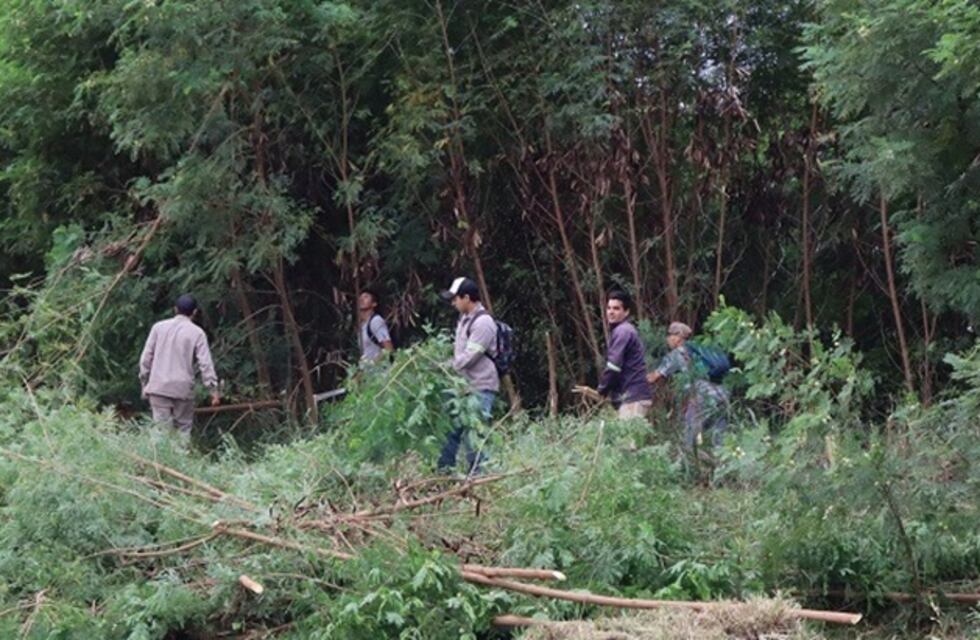 Realizan limpiezas de terrenos baldíos en la capital provincial